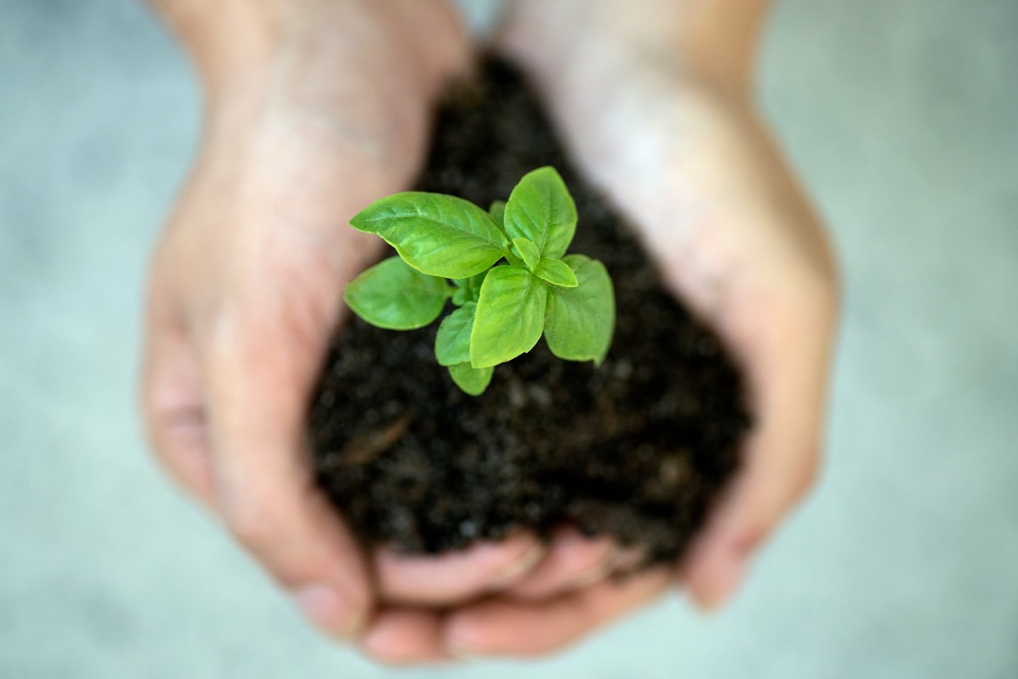 Biotecnologia: A Revolução do Agronegócio Brasileiro